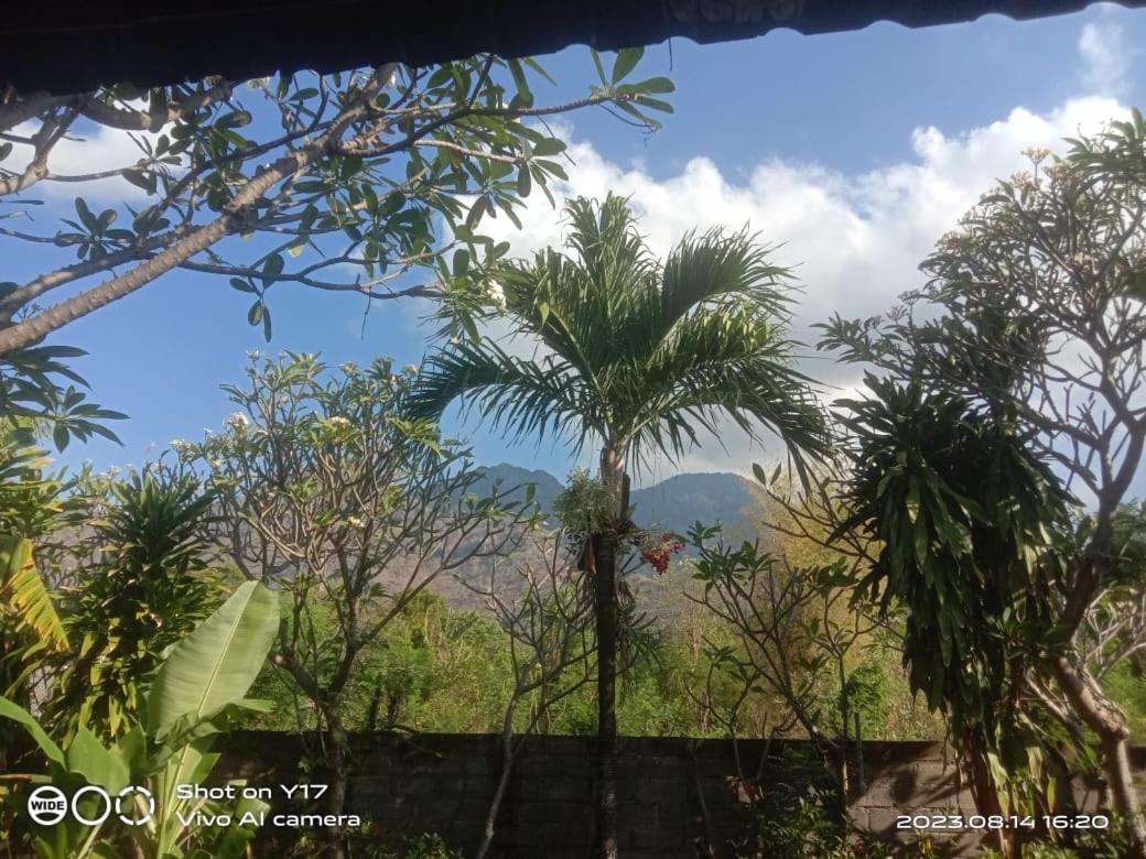 Tirta Bali Homestay Pemuteran Eksteriør billede