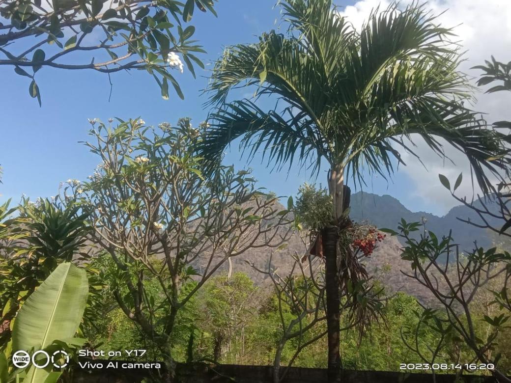 Tirta Bali Homestay Pemuteran Eksteriør billede